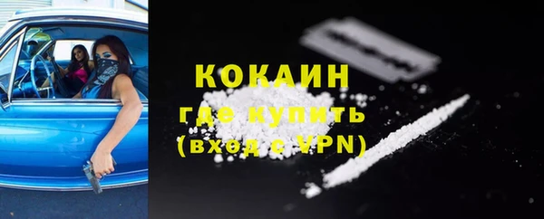 стаф Балахна