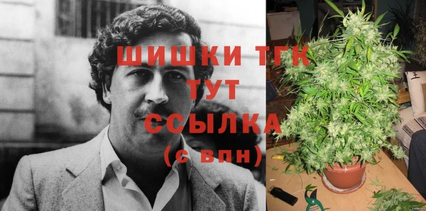 гидра Армянск