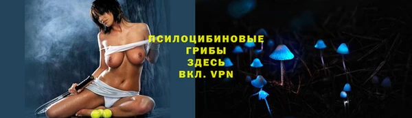 скорость Белокуриха