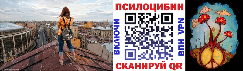 купить  сайты  даркнет какой сайт  Галлюциногенные грибы Psilocybe  Вилючинск 
